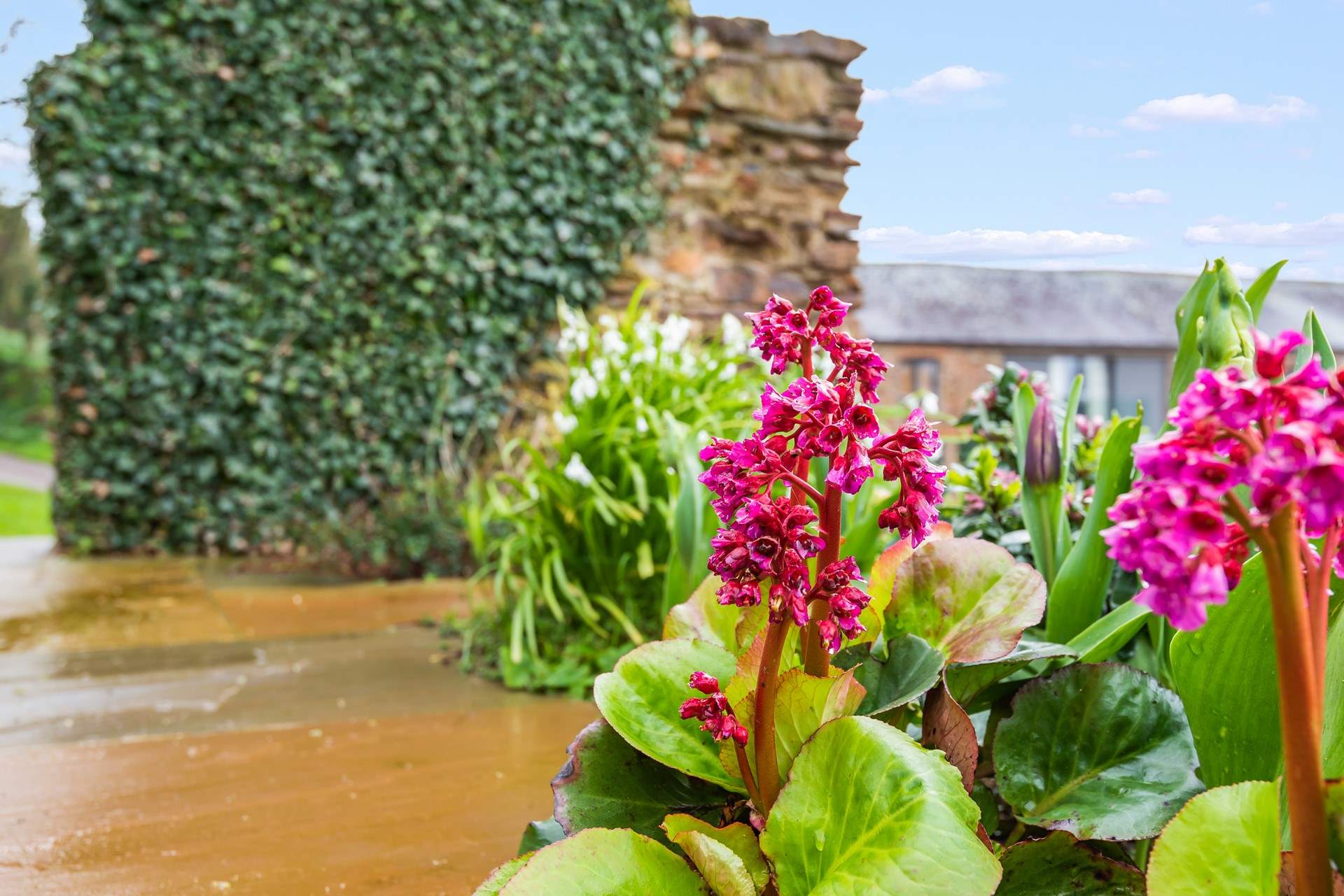 Bursts of colour make the grounds of Higher Dinnicombe sparkle all year round.