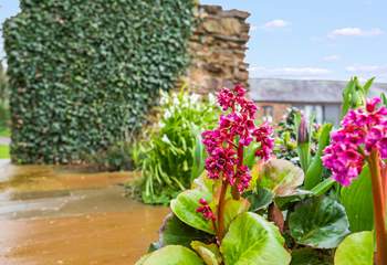 Bursts of colour make the grounds of Higher Dinnicombe sparkle all year round.