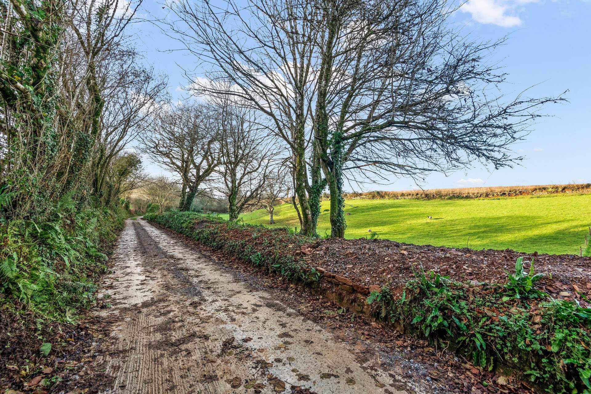 The driveway will take you to the property.