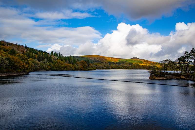 For a relaxed walk head up to Avon Dam, it's the perfect Sunday stroll for all the family.