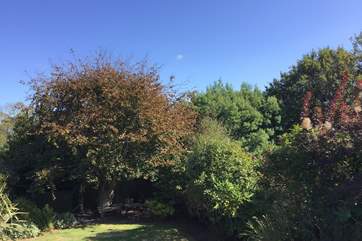 Let's hope every morning is welcomed with blue skies!