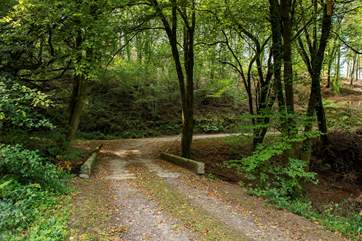 The forestry track and bridge that leads you to the cottage.