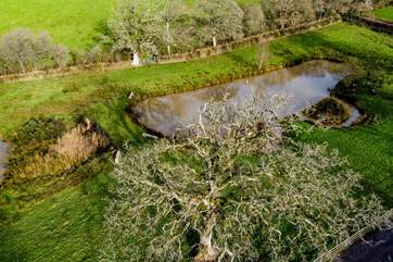 You have one of two lakes that you can enjoy a spot of fishing at, you might also be joined by some grazing sheep.