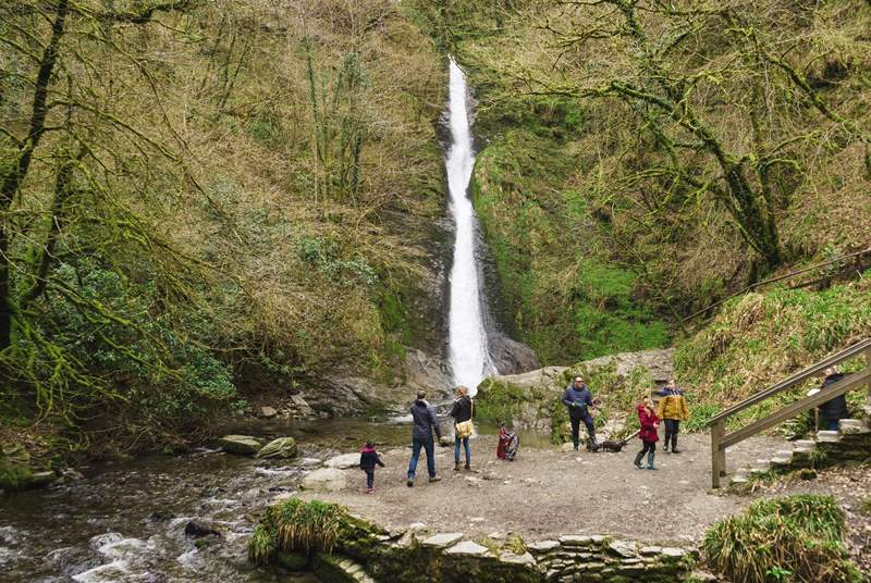 Visit Lydford Gorge for the dramatic scenery.