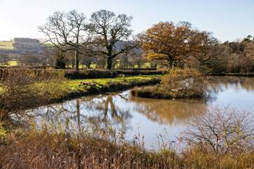 The lakes not only offer free fishing but the perfect spot for a picnic lunch.
