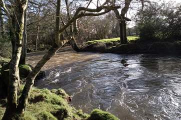 Netherbridge Court offers the perfect river bank fishing which is free as long as you have a valid fishing licence.