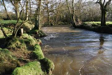 Netherbridge Court offers the perfect river bank fishing which is free as long as you have a valid fishing licence.