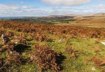 Pull on those walking boots and enjoy the therapy that Dartmoor has to offer.