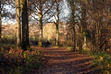 A short car journey takes you to the Ashdown Forest, home of Winnie-the-Pooh.