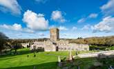 Magnificent St. David's Cathedral. The small city is worth a visit, browse boutique shops and galleries or have lunch in one of the delicious eateries.  - Thumbnail Image