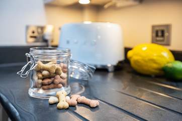Your four-legged friend will feel very much at home here.