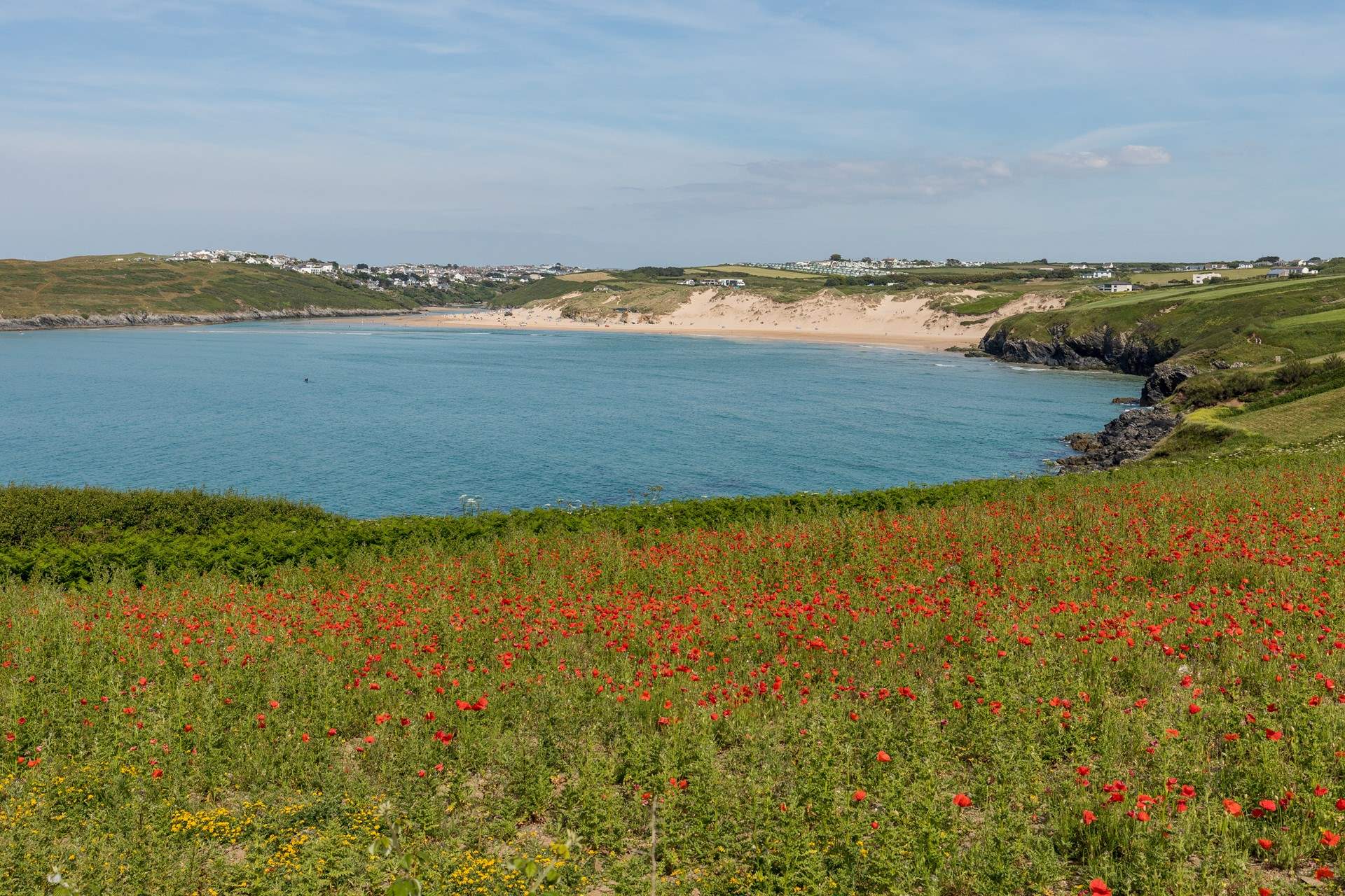 The stunning spring flowers that draw visitors to Crantock every year, they are simply breath-taking. 