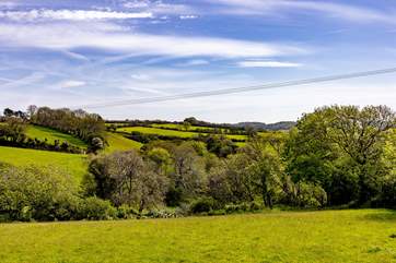 Green pastures and woodland surround Greenways.