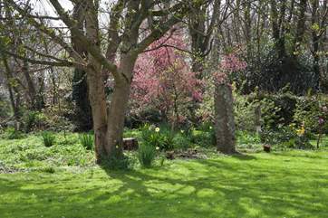 Your four legged friend will love exploring the grounds. (Please keep on a lead)