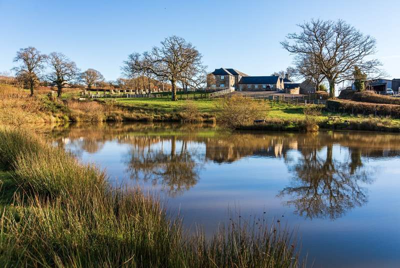 Walk down to the lakes and enjoy the tranquility of the setting whilst looking back towards the barns each and every morning.
