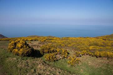 High up on the Quantock Hills above West Quantoxhead you can see right across the Bristol Channel to south Wales on a clear day.
