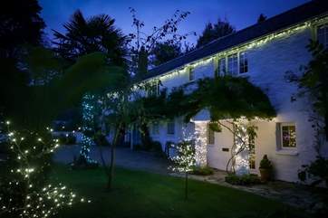 Look at Tregenver Cottage all dressed up for Christmas.