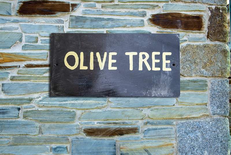 Olive Tree is waiting to welcome you.