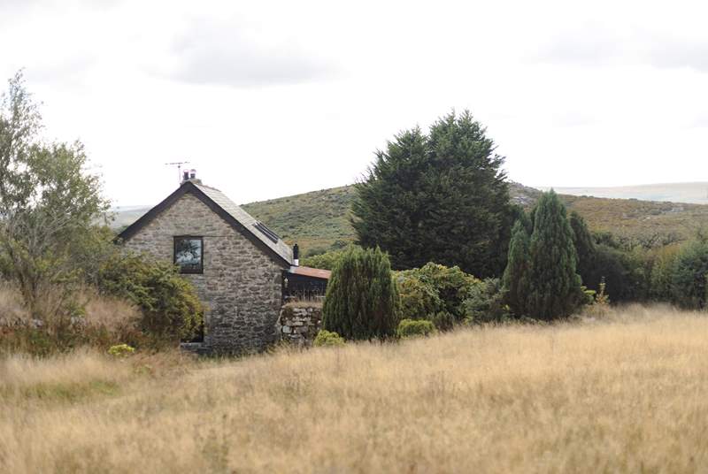The view from the top of your garden, looking back over the cottage and out over Dartmoor.