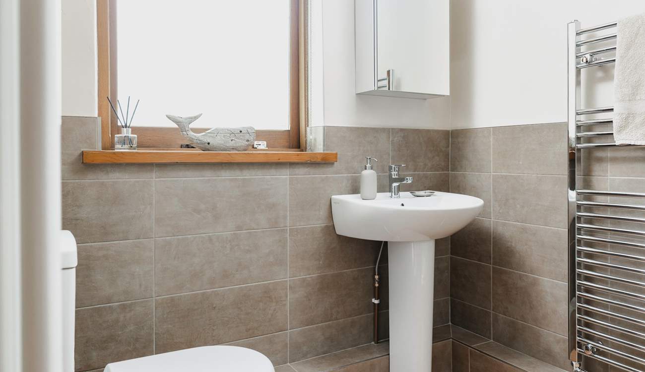 The ground floor shower-room.