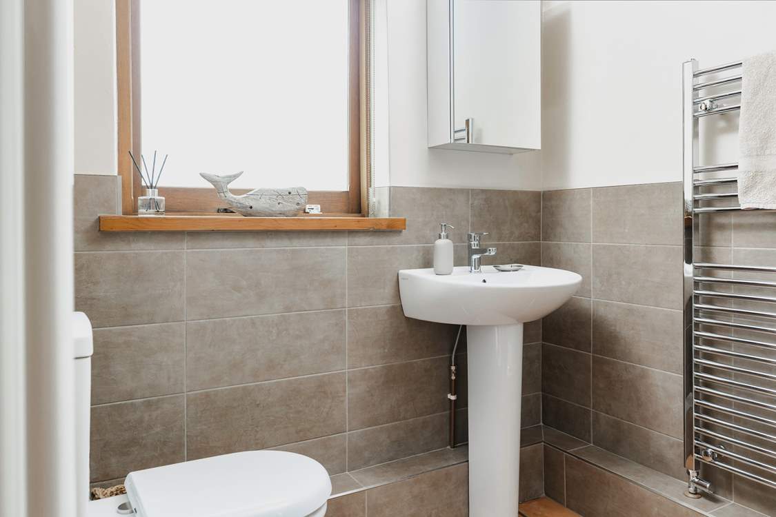 The ground floor shower-room.