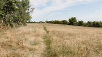 Wander up the path which leads to your own private access to the moors.