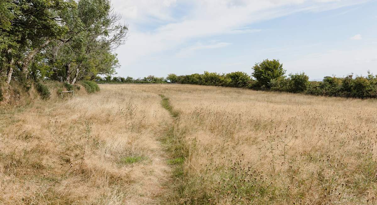 Wander up the path which leads to your own private access to the moors.