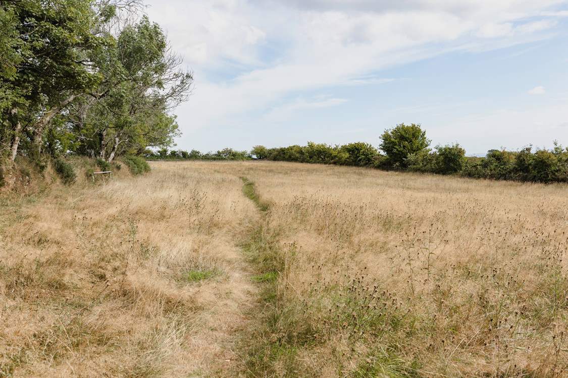 Wander up the path which leads to your own private access to the moors.