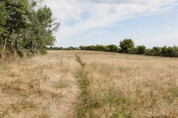 Wander up the path which leads to your own private access to the moors.
