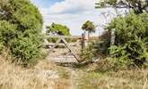 And through the private access gate to get to the moors. - Thumbnail Image