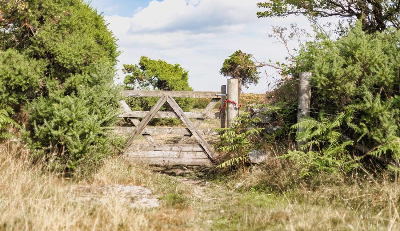 And through the private access gate to get to the moors.
