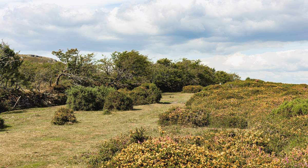 The surrounding moorland is just breath-taking.