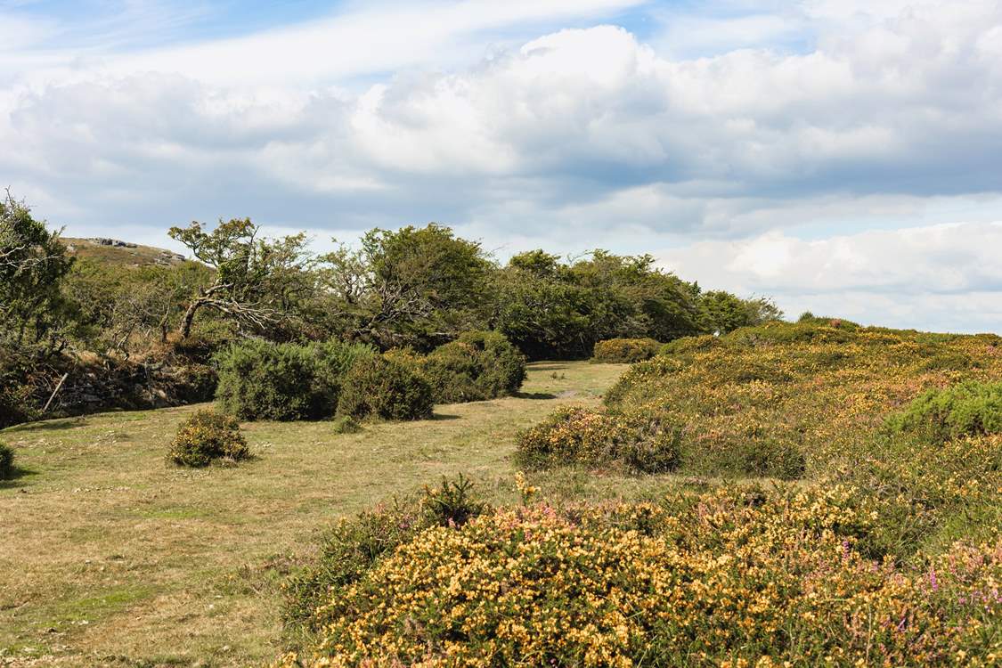 The surrounding moorland is just breath-taking.