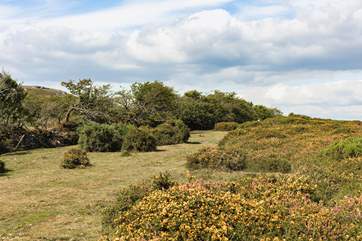 The surrounding moorland is just breath-taking.