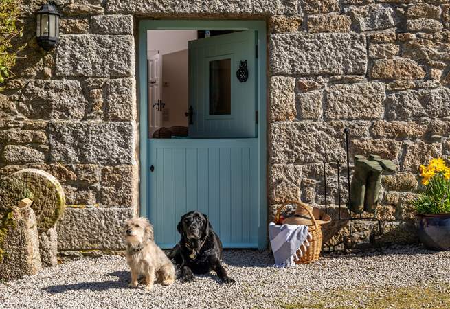 Two dogs are welcome to enjoy this lovely property, Benji the black lab will be on site to greet you. 