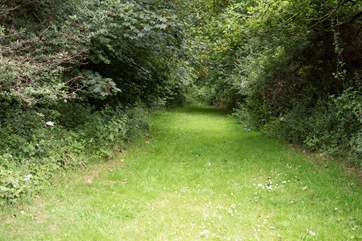 You're treated to several woodland walks, which lead directly from the property. Don't forget your walking boots!