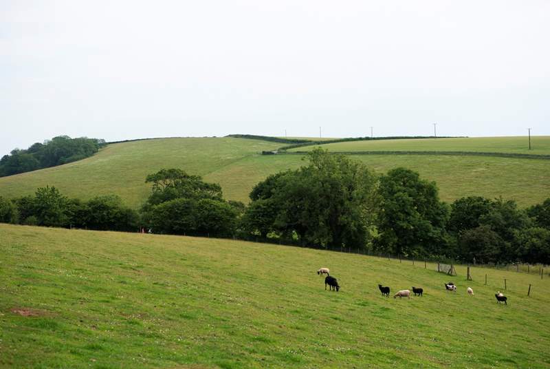 One of the beautiful countryside views which surround you in this magical spot.