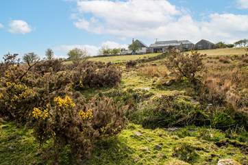 Roughtor Barn shares this perfect spot with one other property so you are not completely isolated.