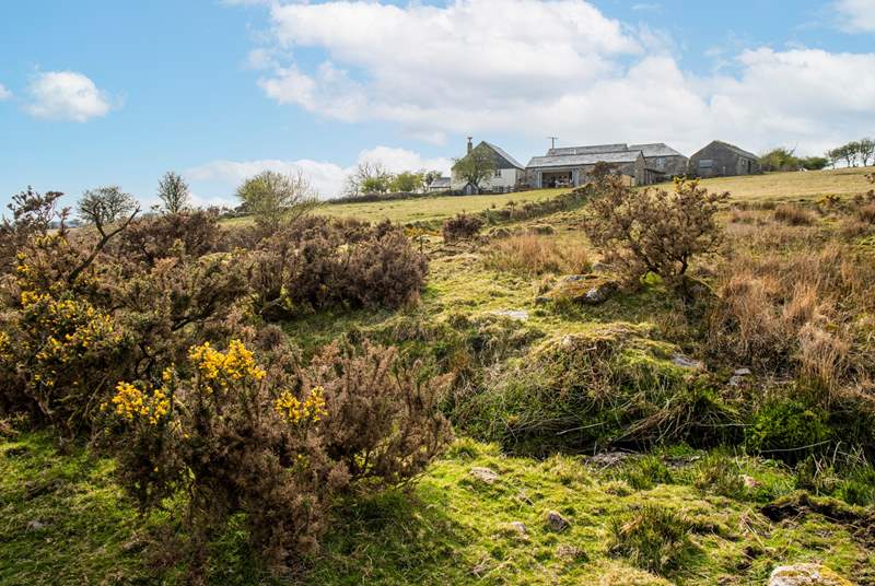 Roughtor Barn shares this perfect spot with one other property so you are not completely isolated.