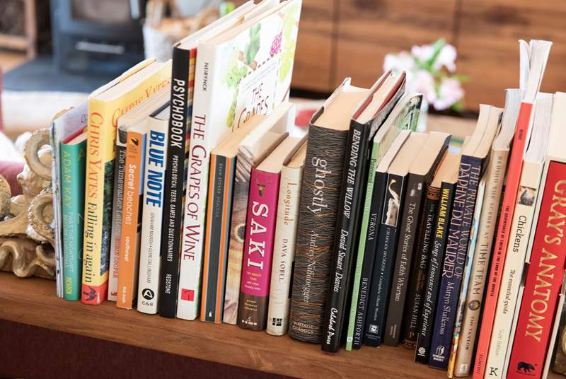 There's a great selection of books to keep the most avid bookworm occupied.
