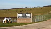Tapnell Farm is a fun filled day for all the family!