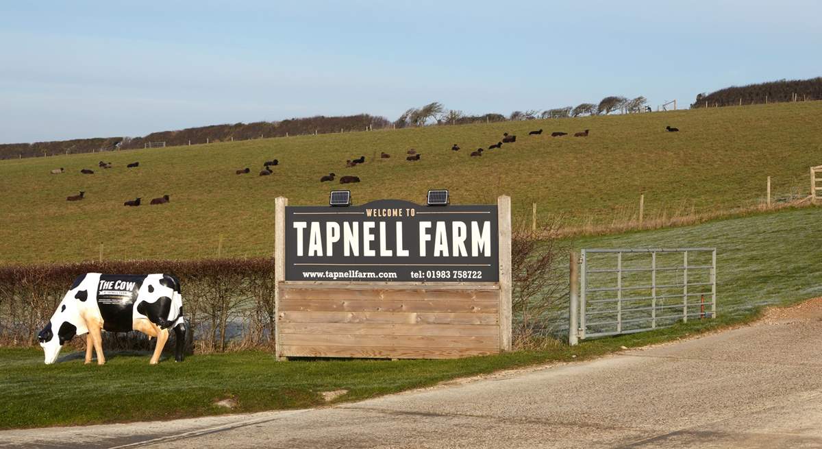 Tapnell Farm is a fun filled day for all the family!