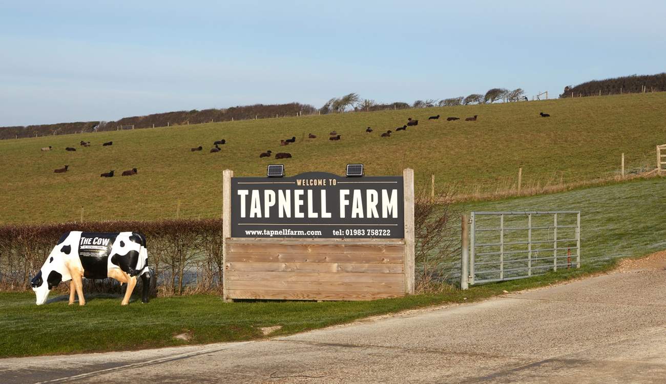 Tapnell Farm is a fun filled day for all the family!