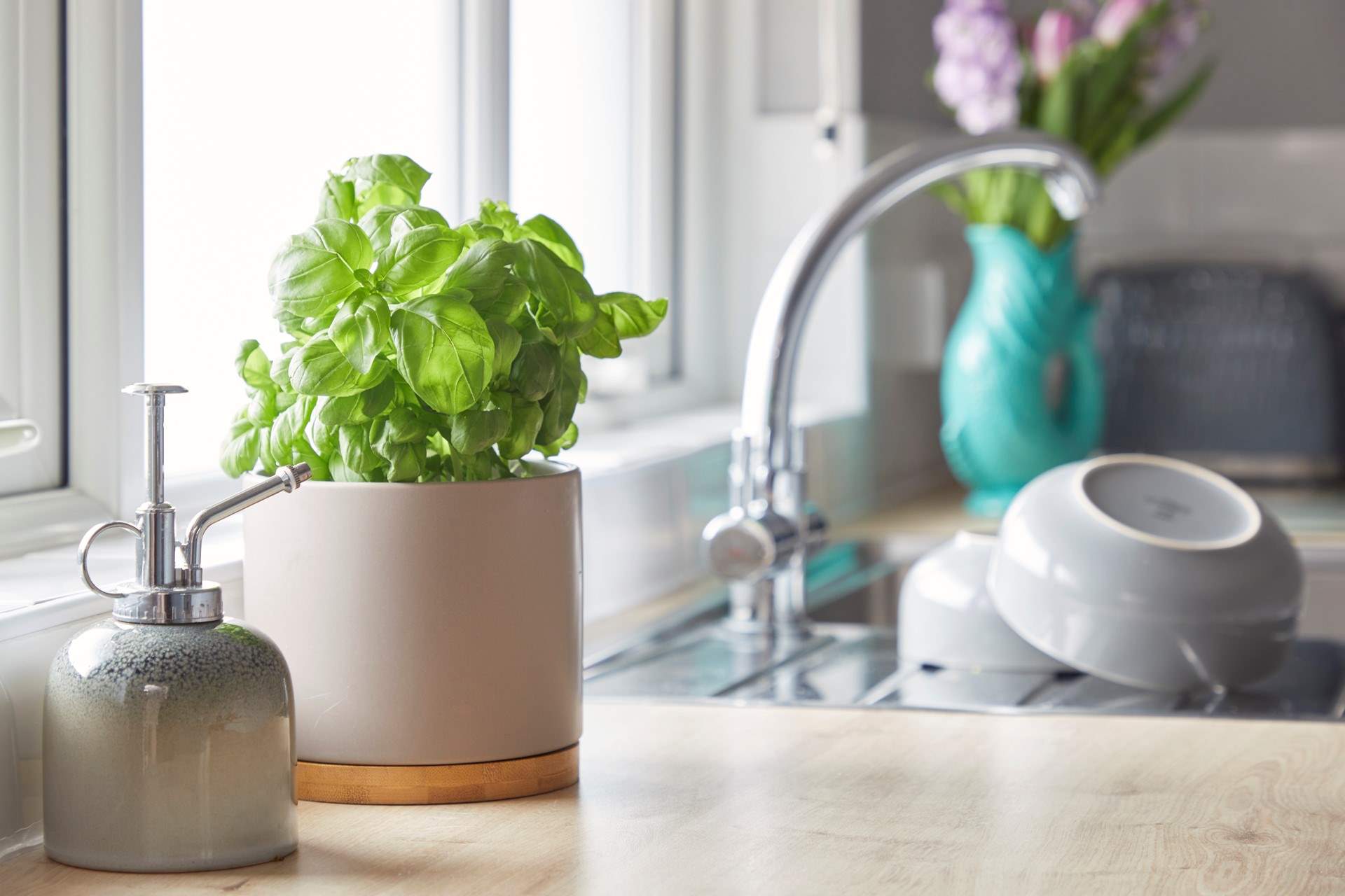 Lovely herbs to add freshness to your meal.