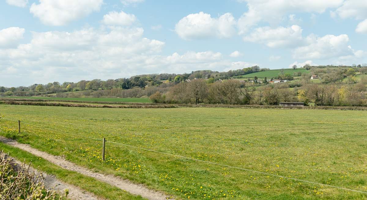 From your raised seating area you have lovely countryside views; a great spot to watch the sun go down.