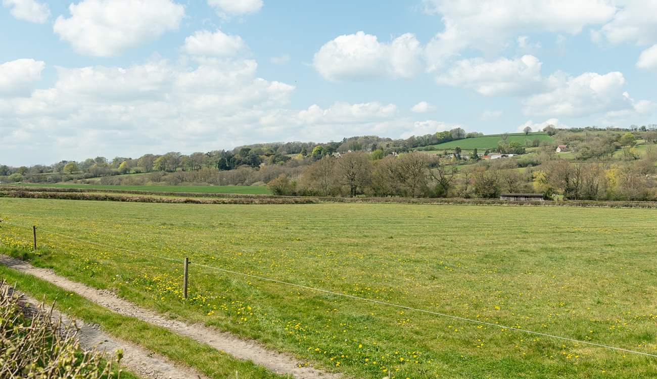 From your raised seating-area you have lovely countryside views; a great spot to watch the sun go down.