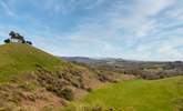 The climb to the top of Colmer's Hill at Symondsbury is well worth it for the view! - Thumbnail Image