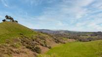 The climb to the top of Colmer's Hill at Symondsbury is well worth it for the view!