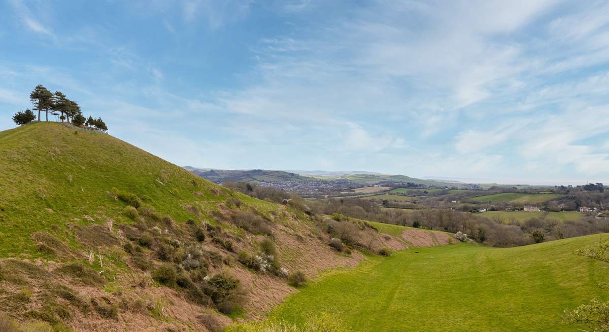 The climb to the top of Colmer's Hill at Symondsbury is well worth it for the view!