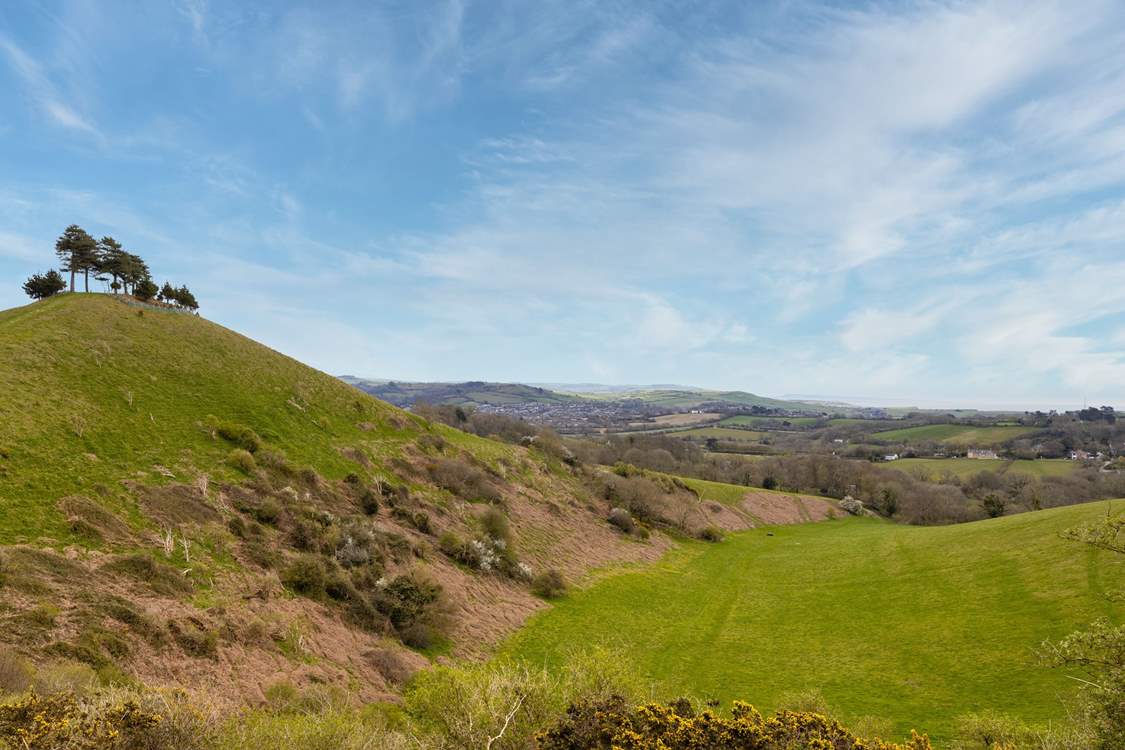 The climb to the top of Colmer's Hill at Symondsbury is well worth it for the view!